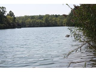 Property photo 71 - 419 +/- Acres offered in 6 Tracts, Land Auction